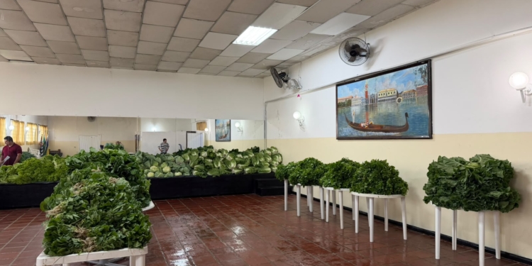 Rio Grande da Serra distribui 300 cestas verdes para famílias em vulnerabilidade social