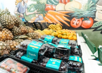 ‘Minha Feira SBC’ em São Bernardo alia segurança alimentar e incentivo à reciclagem