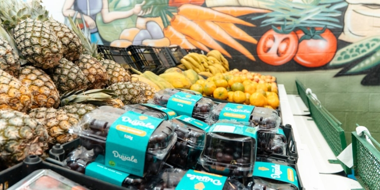 ‘Minha Feira SBC’ em São Bernardo alia segurança alimentar e incentivo à reciclagem