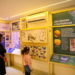 Planeta Inseto: conheça a exposição científica gratuita na zona sul de SP