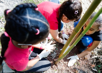 Dia da Árvore ganha significado especial em visita de alunos à Gruta de Santa Luzia