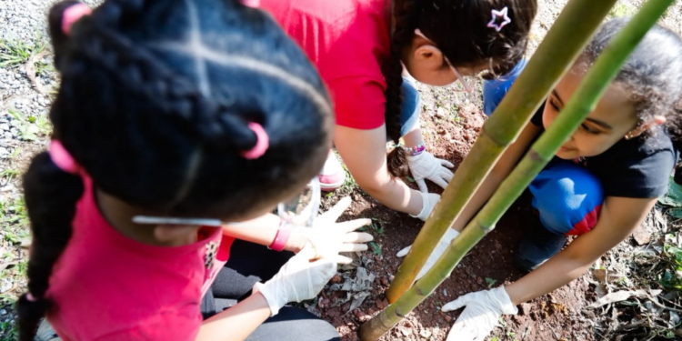 Dia da Árvore ganha significado especial em visita de alunos à Gruta de Santa Luzia