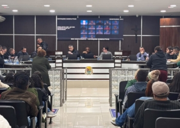 Câmara de RP debate inclusão, saúde, limpeza urbana e prevenção aos efeitos das apostas