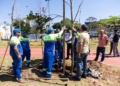 São Caetano realiza plantio de 20 exemplares adultos no Parque Linear Kennedy