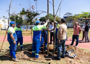 São Caetano realiza plantio de 20 exemplares adultos no Parque Linear Kennedy