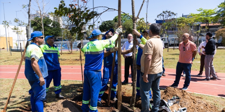 São Caetano realiza plantio de 20 exemplares adultos no Parque Linear Kennedy