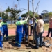 São Caetano realiza plantio de 20 exemplares adultos no Parque Linear Kennedy