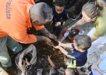 Santo André marca Dia da Árvore com recuperação de área degradada no Parque do Pedroso