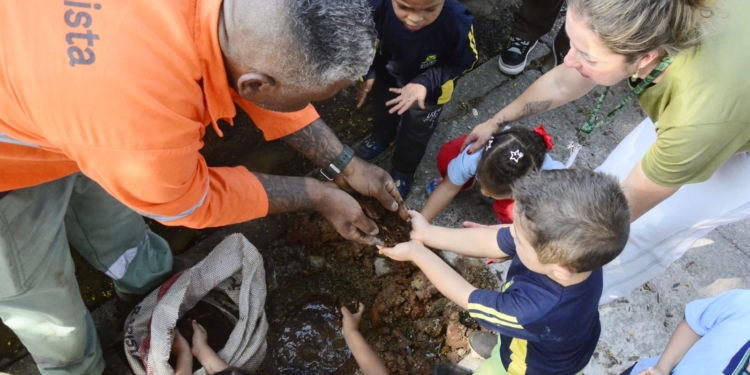 Santo André marca Dia da Árvore com recuperação de área degradada no Parque do Pedroso