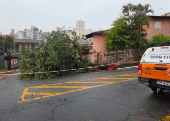Trabalho integrado garante tranquilidade em SCS durante o temporal da madrugada