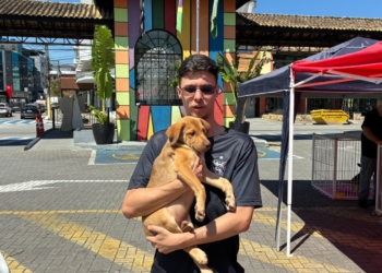 “Tigela Cheia” reúne adoções, vacinação e sustentabilidade em Ribeirão Pires