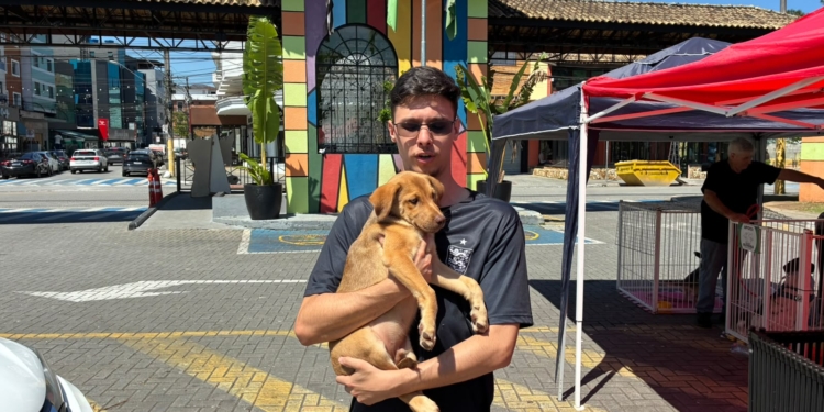“Tigela Cheia” reúne adoções, vacinação e sustentabilidade em Ribeirão Pires