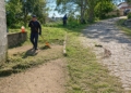 Ribeirão Pires intensifica serviços de zeladoria e manutenção urbana em diferentes regiões