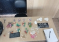 GCM de Ribeirão Pires apreende drogas durante ação da ROMU no Parque Aliança