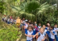 Natureza vira sala de aula para crianças no Parque da Gruta, em Mauá