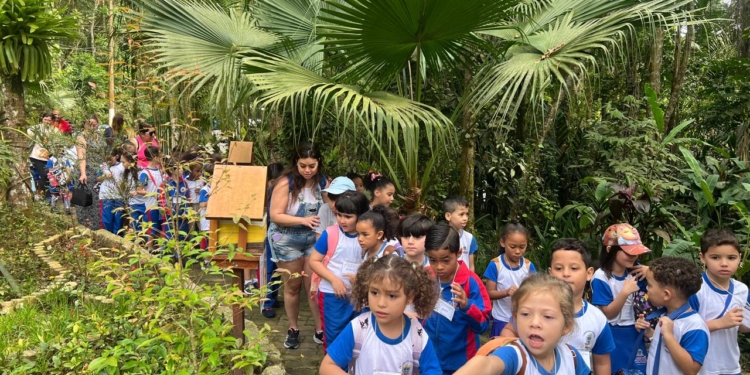 Natureza vira sala de aula para crianças no Parque da Gruta, em Mauá