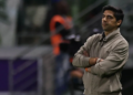 Palmeiras: daqui a 3 dias temos outra final