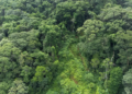 Desafio Global de Sustentabilidade está com inscrições abertas a graduandos e pós-graduandos da América do Sul