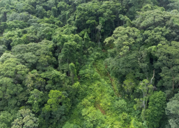 Desafio Global de Sustentabilidade está com inscrições abertas a graduandos e pós-graduandos da América do Sul