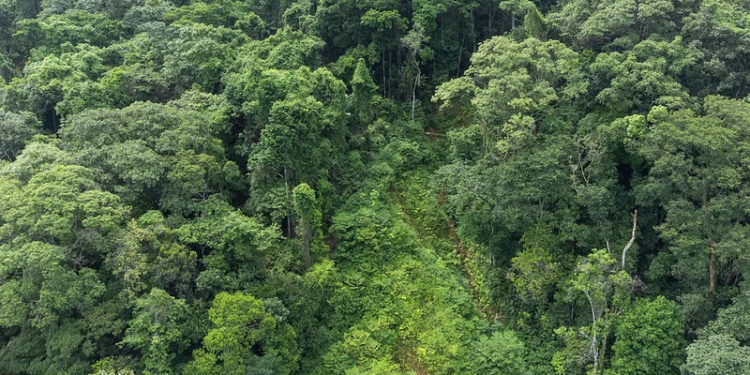 Desafio Global de Sustentabilidade está com inscrições abertas a graduandos e pós-graduandos da América do Sul