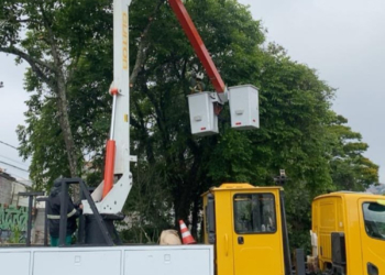 Mauá intensifica poda preventiva de árvores no Jardim Santa Lídia