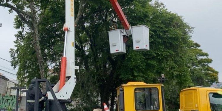 Mauá intensifica poda preventiva de árvores no Jardim Santa Lídia