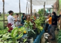 SBC participa de intercâmbio com foco na estruturação de programa municipal de agricultura urbana