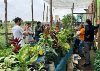 SBC participa de intercâmbio com foco na estruturação de programa municipal de agricultura urbana