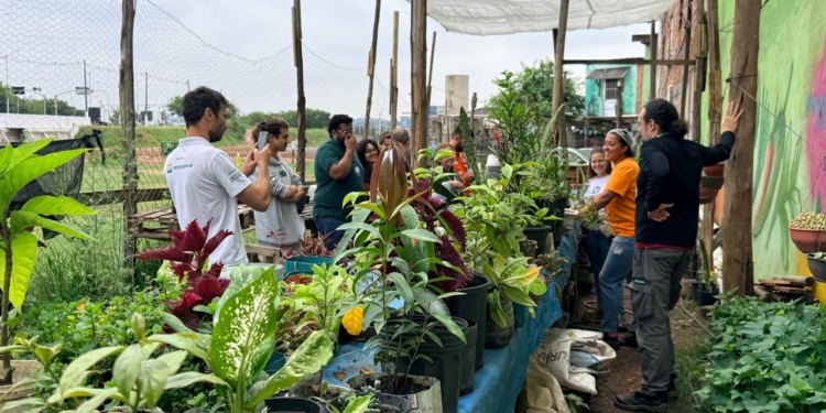 SBC participa de intercâmbio com foco na estruturação de programa municipal de agricultura urbana