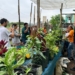 SBC participa de intercâmbio com foco na estruturação de programa municipal de agricultura urbana