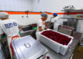 Bom Prato incentiva alimentação saudável e aproveitamento integral dos alimentos