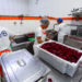 Bom Prato incentiva alimentação saudável e aproveitamento integral dos alimentos