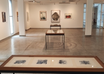 ‘Mulheres na Coleção da Pinacoteca’ valoriza produção feminina em SBC