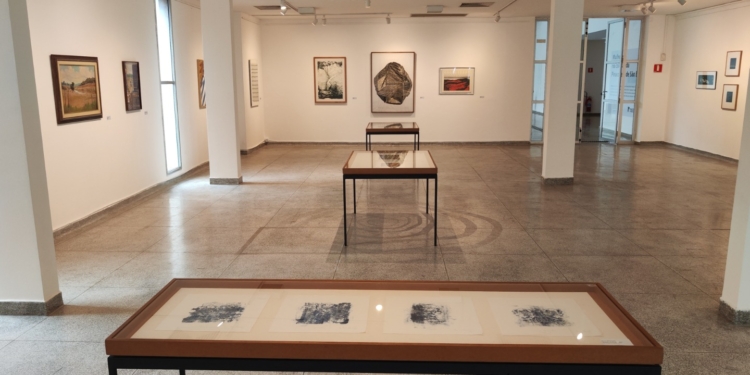‘Mulheres na Coleção da Pinacoteca’ valoriza produção feminina em SBC