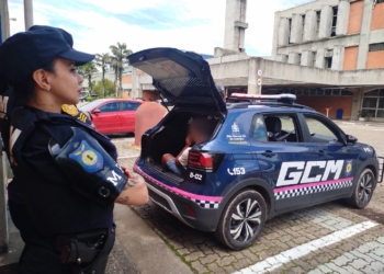 Atuação da Guardiã Maria da Penha em São Bernardo garante a prisão de 22 indivíduos em 2026