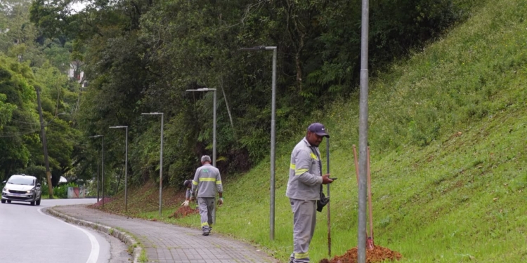 RP inicia segunda etapa da modernização da iluminação pública na Av. Kaethe Richers