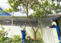 Minha Escola inicia nova etapa com revitalização de fachadas e áreas externas das unidades de SCS