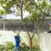 Minha Escola inicia nova etapa com revitalização de fachadas e áreas externas das unidades de SCS