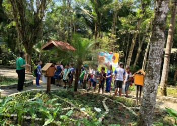 Olhar Verde leva alunos da rede municipal aos parques de Mauá