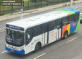 Transporte municipal de São Bernardo será gratuito nos dias das eleições