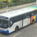 Transporte municipal de São Bernardo será gratuito nos dias das eleições