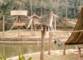 Parque Estoril é palco do 1º Festival da Coexistência Humano-Fauna