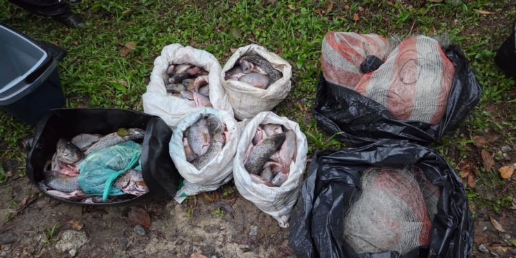 GCM Ambiental intensifica fiscalização contra pesca predatória na Represa Billings, em SBC