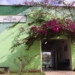 Projeto Andanças 60+ promove passeio pelos pontos turísticos de Ribeirão Pires