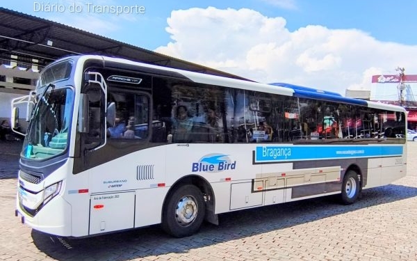 Governo SP confirma gratuidade nos ônibus intermunicipais, trens, metrô e VLT no domingo, 2º turno das eleições