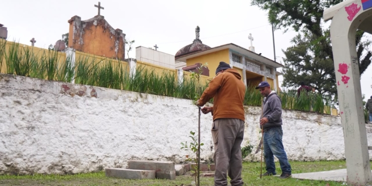 Revitalização do Cemitério São José avança com foco na arborização e na recuperação do espaço