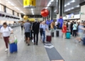 Centro especializado do Governo de SP recebe 50 ovos de aves silvestres apreendidos no Aeroporto Internacional de Guarulhos
