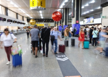Centro especializado do Governo de SP recebe 50 ovos de aves silvestres apreendidos no Aeroporto Internacional de Guarulhos