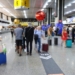 Centro especializado do Governo de SP recebe 50 ovos de aves silvestres apreendidos no Aeroporto Internacional de Guarulhos