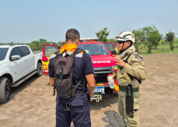 Força-tarefa do Governo de SP inicia combate direto a incêndios florestais no Amazonas